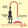 Vákuové pumpy pre ženy - BOOM LUVPUMP Vacuum master vákuová pumpa pre ženy - BOM00160