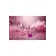 Análne šperky - Gleaming Love Pearl Pink análny kolík S - dc22195