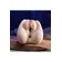 Vagíny - nevibračné - Zero Tolerance masturbátor Sasha Grey - v841242