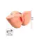 Vagíny - vibračné - Bangers Tight Milking Pussy masturbátor 6kg - s16945